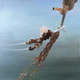 d2 Collection: Bowline - 30" x 30" oil on canvas