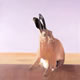 d2 Collection: Jack - 30" x 30" oil on canvas